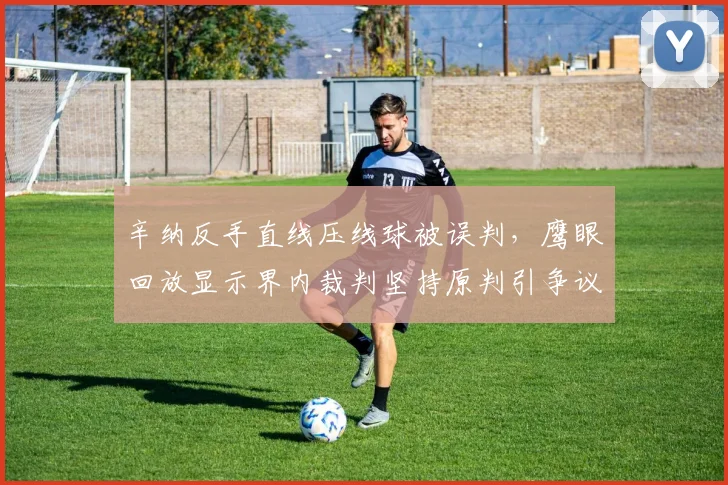 辛纳反手直线压线球被误判，鹰眼回放显示界内裁判坚持原判引争议