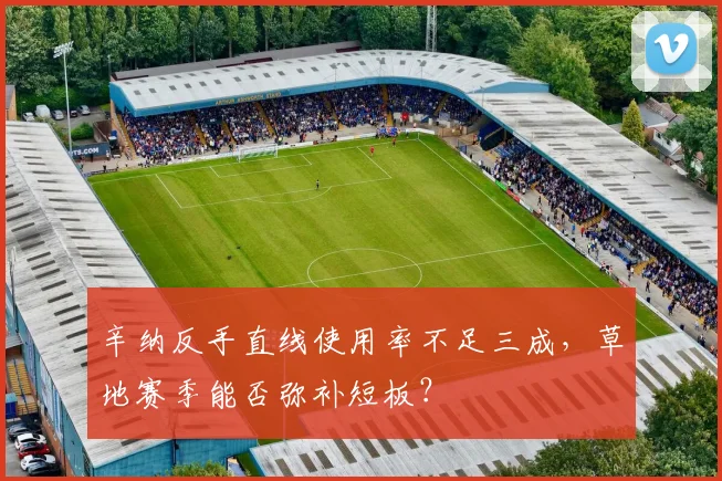 辛纳反手直线使用率不足三成,草地赛季能否弥补短板?
